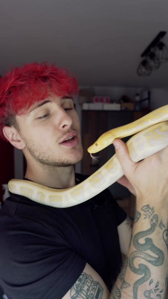 TikTok video thumbnail by szymiass