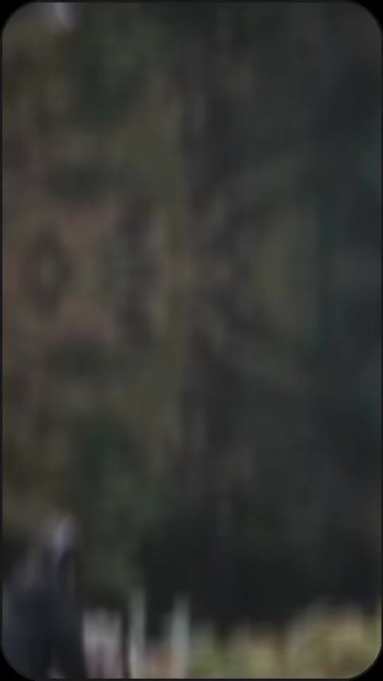 TikTok video thumbnail by caitlin.k213