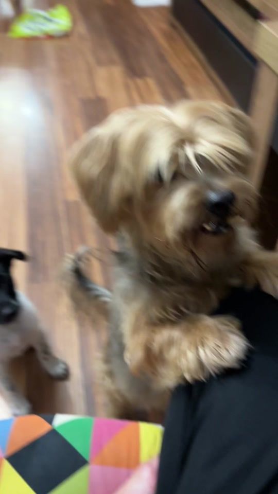 TikTok video thumbnail by dust.emi