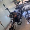 denisenelson3988