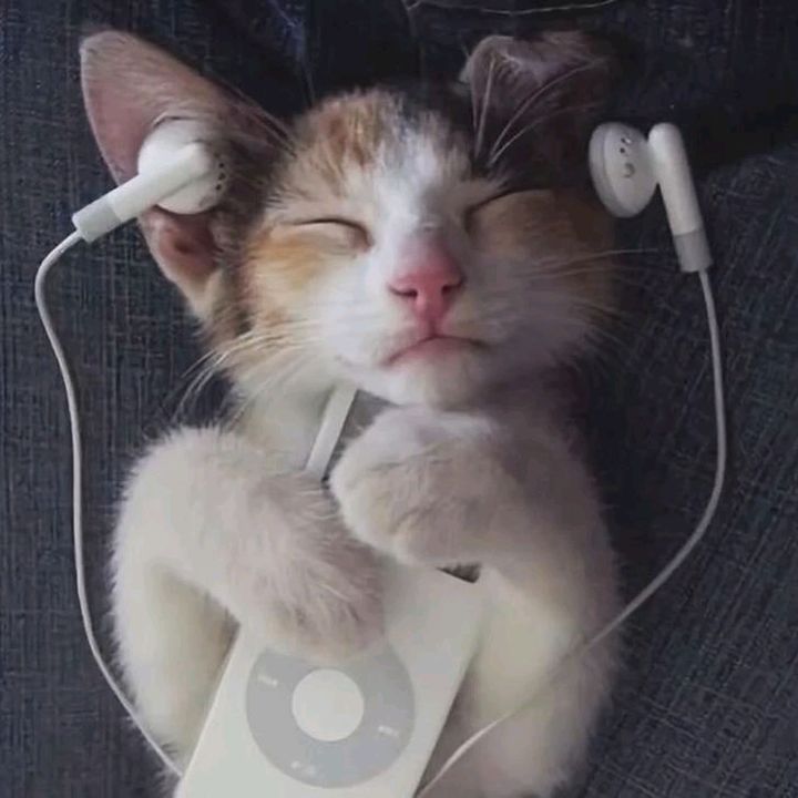 ^-^ - original sound - _2914829