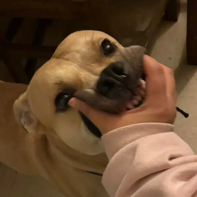 banananutchild
