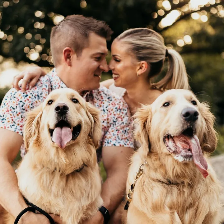 agoldendogmom