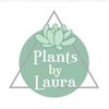 plantsbylaura1