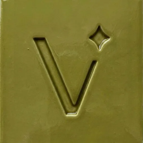 shopvenvs