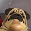 no_harq