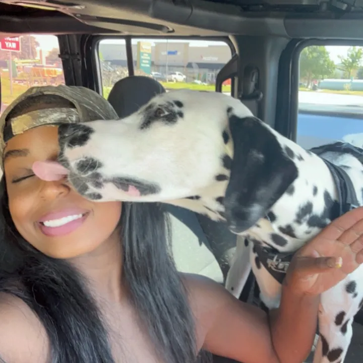dalmationmama
