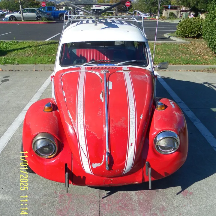 bug.n.out