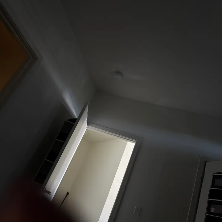 whyfoops