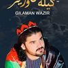 himat690