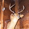 urbexhydro