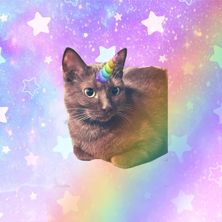 princessunikittyswag