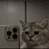 samir_mgr1
