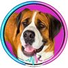 penelopethestbernard