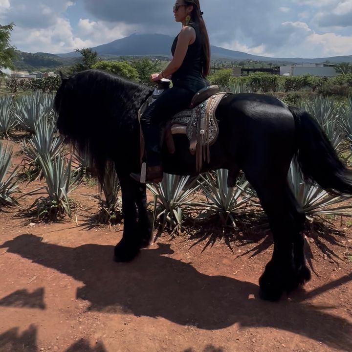🦋 𝒮𝑜𝓅𝒽𝒾𝑒  👑🦁 - original sound - sofii61624