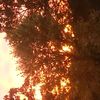 daira_771