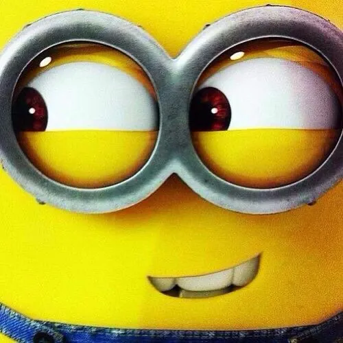 mina.xoo