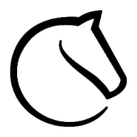 lichessdotorg