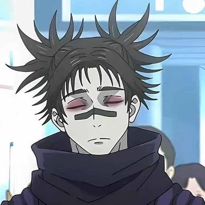 v.s.n_