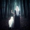 the_beautifully_deceased