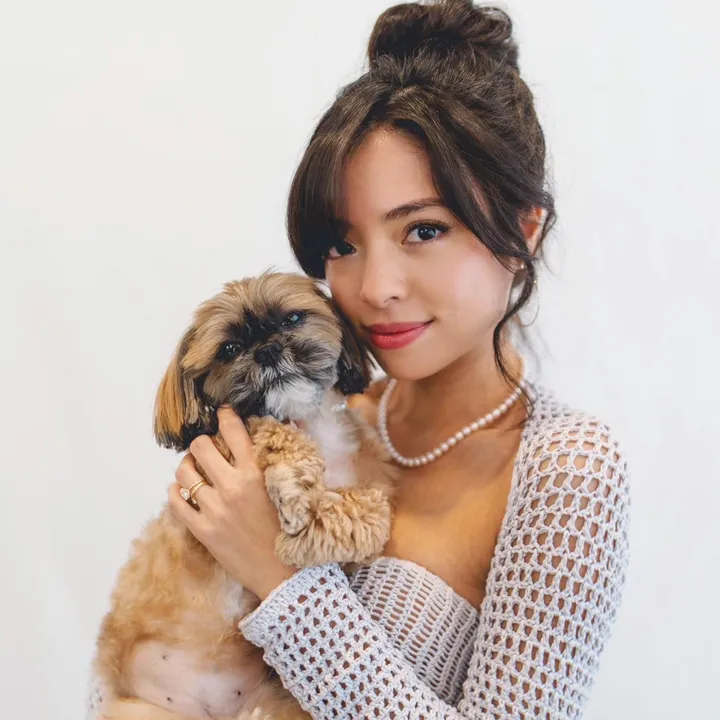 petpetcrochets