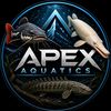 ap3x.aquatics