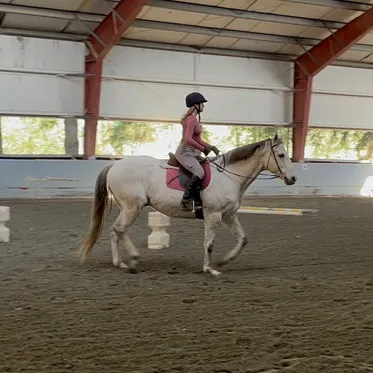 hadley_eq576