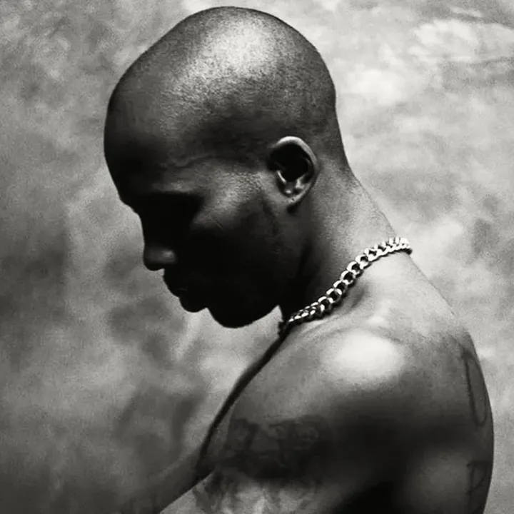dmx