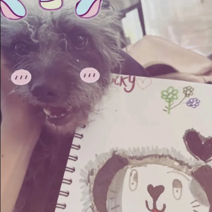 ivyiscoolandtuff