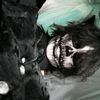 uurfavghoull