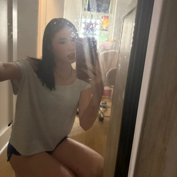lexiodom4