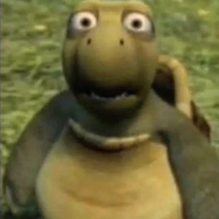 @turtlgd