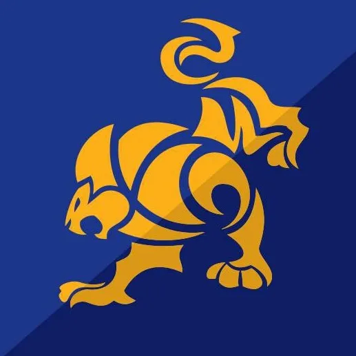 @ibjjf