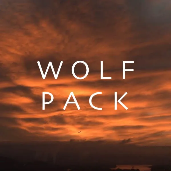 wolfpackonpplus