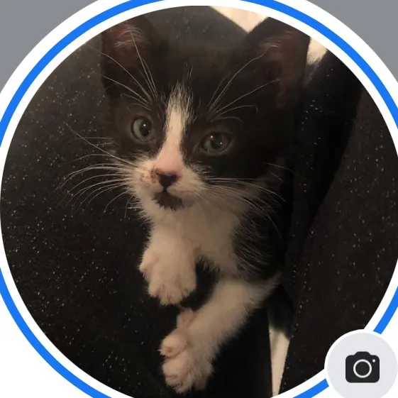 @frankies_fosters