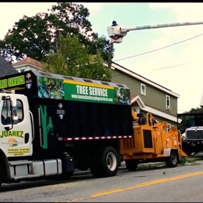 juareztreeservice