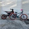 ant_ridesbikez