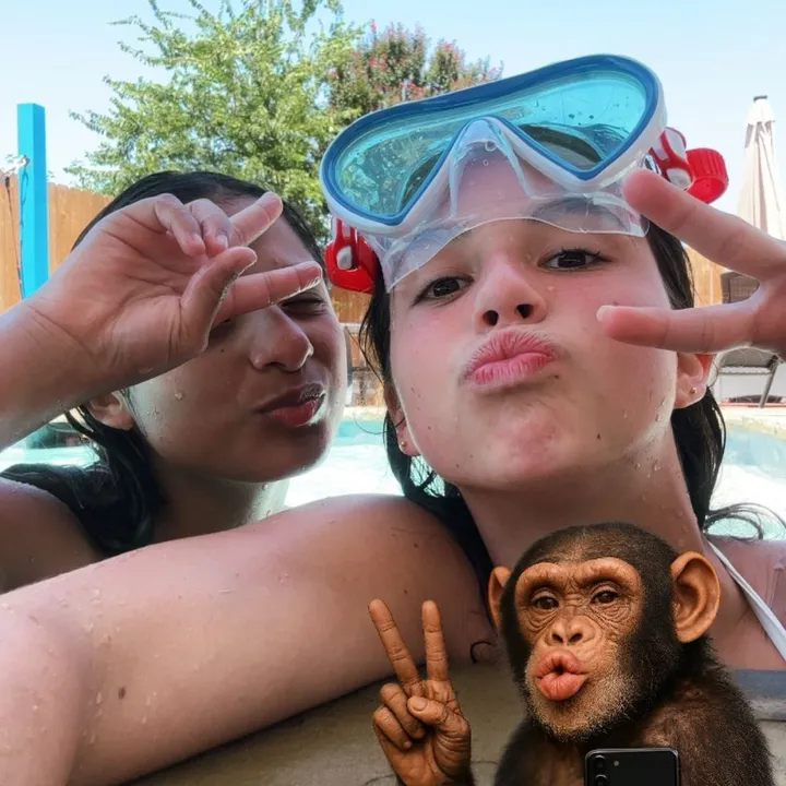 haileyfontanellispammm