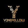 @yokefellow_extension