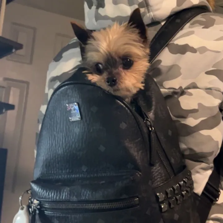 sophiajoseph_