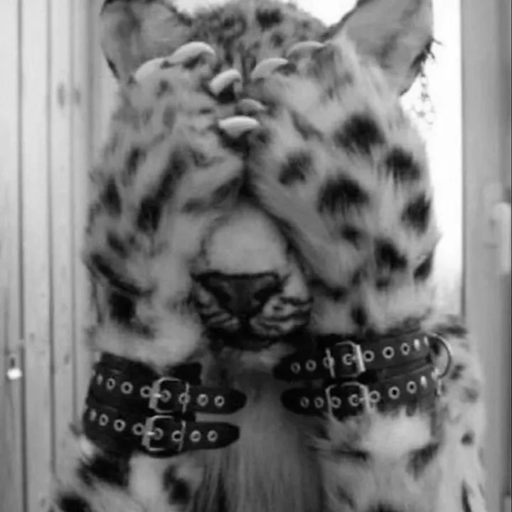 .little.miss.scare.all