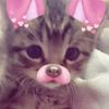 theylovbella222