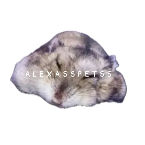 alexasspetss