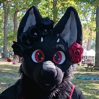 devickwolfbrine