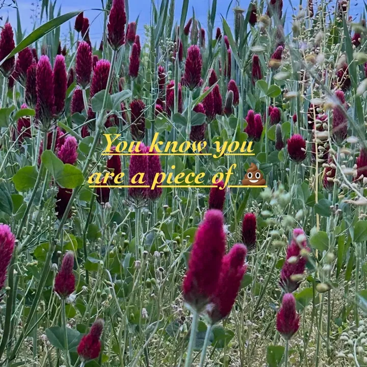 you.know.you.are