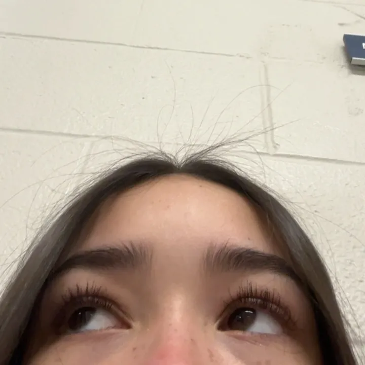 notleilahdw