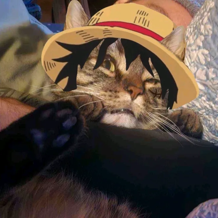 ttvhatedroo