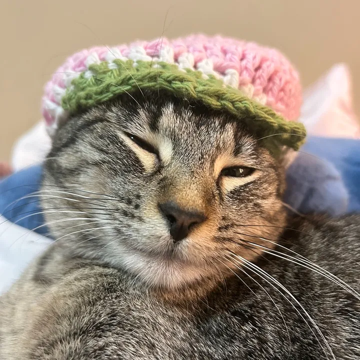 koollgurll