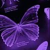 lyrical_miracle_