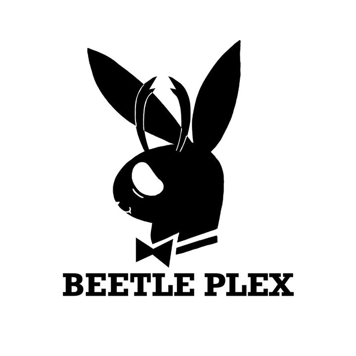Beetle Plex - original sound - beetleplex